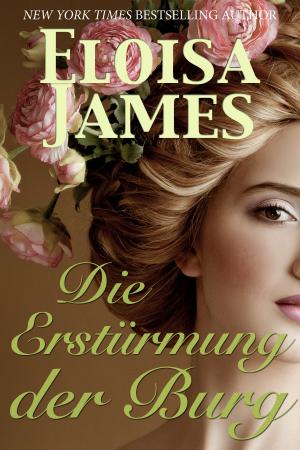 Cover of the book Die Erstürmung der Burg by Cicéron