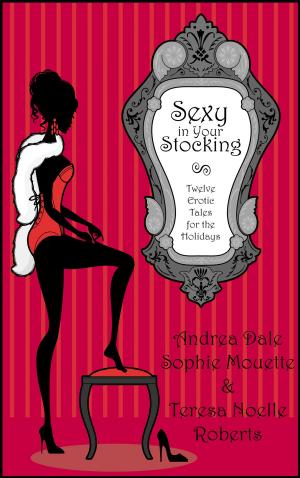 Book cover of Sexy in Your Stocking: Twelve Erotic Tales for the Holidays