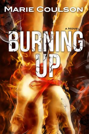 Cover of the book Burning Up by Brian C. Copper