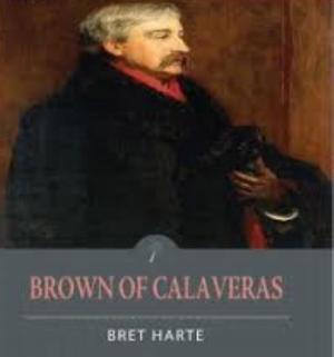 Book cover of Brown of Calaveras
