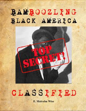 Cover of the book BAMBOOZLING BLACK AMERICA by Troim Kryzl
