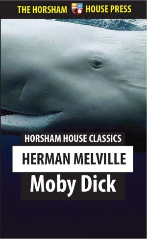 Cover of the book Moby Dick by R.J. Jagger