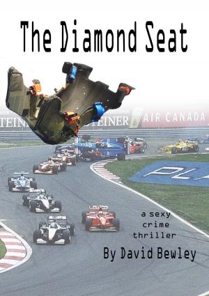 bigCover of the book The Diamond Seat by 
