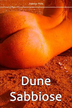Cover of the book Dune Sabbiose by Federico Viola