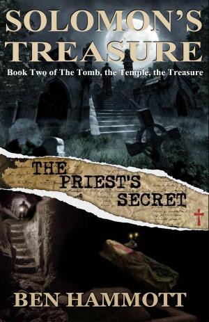 Book cover of Solomon's Treasure - Book 2