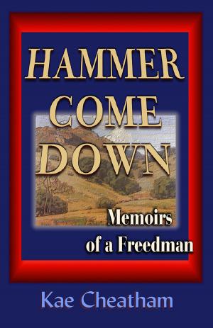 Cover of the book Hammer Come Down by Jennifer DeBruin