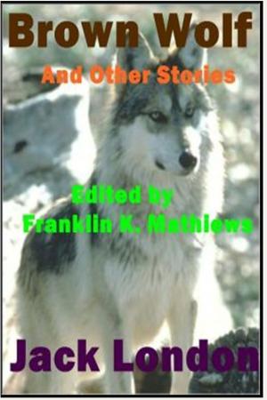 bigCover of the book Brown Wolf by 