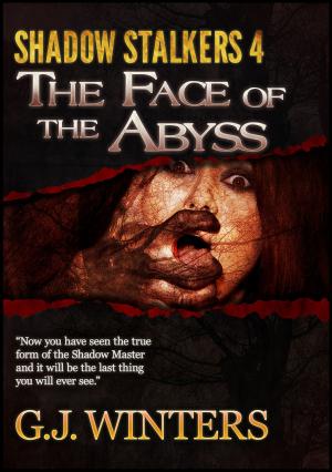 Cover of the book The Face of The Abyss: Shadow Stalkers 4 by Sabine Bessette