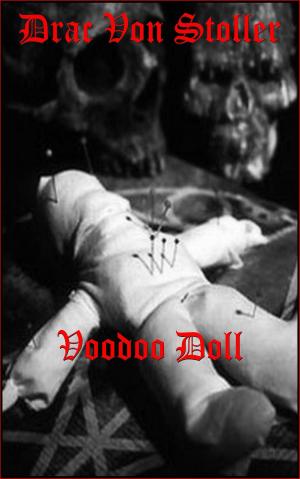 Cover of the book Voodoo Doll by K.C. Stewart
