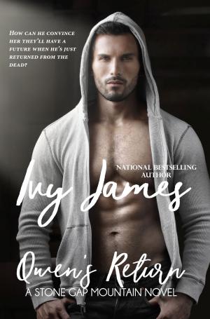 Cover of the book Owen's Return by Ivy James