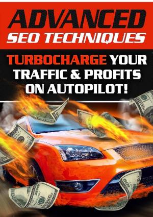 Cover of the book Advanced SEO Techniques ! by benoit dubuisson