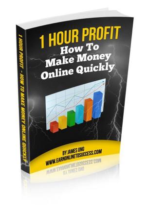 Book cover of How to make money online quickly !