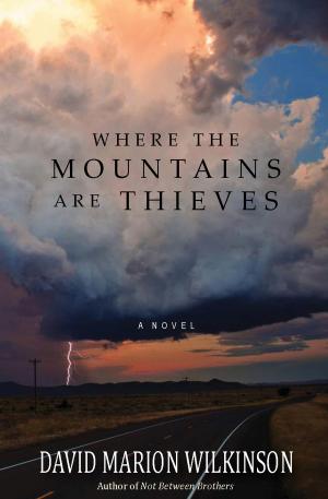 Cover of the book Where the Mountains Are Thieves by Cara Brookins