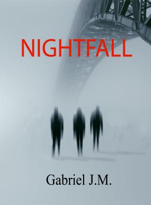 Cover of the book Nightfall by L. M. Beyer