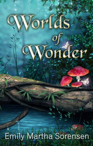 Cover of the book Worlds of Wonder by Adrian J. Smith