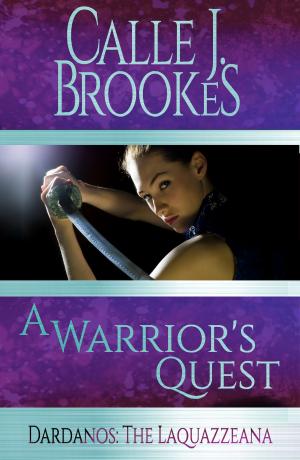 Cover of the book A Warrior's Quest by Alledria Hurt