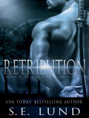 Cover of the book Retribution by Tess O'Connor