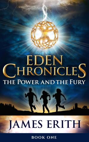 Cover of the book The Power and The Fury by Eric Lorenzen