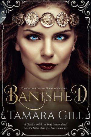 Cover of the book Banished by Vicki Shankwitz, Megan Pitts