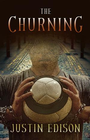 bigCover of the book The Churning by 