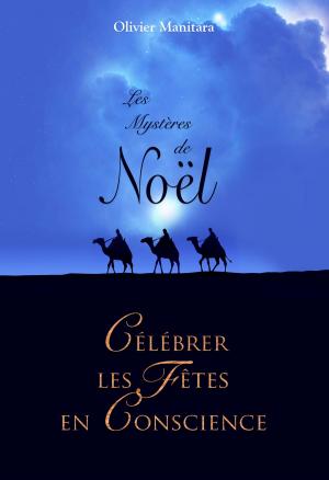 Cover of the book Les mystères de Noël by Olivier Manitara