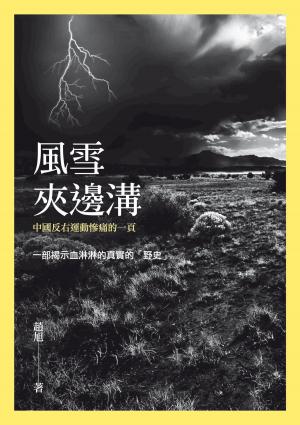 Cover of the book 風雪夾邊溝 by John Allen Royce