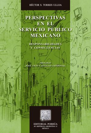 Cover of the book Perspectivas en el servicio público mexicano: Responsabilidades y consecuencias by Néstor de Buen Lozano