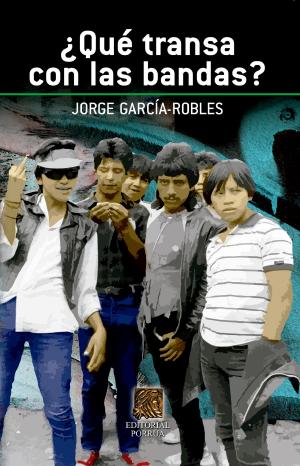 Cover of the book ¿Qué transa con las bandas? by Juan de Dios González Ibarra