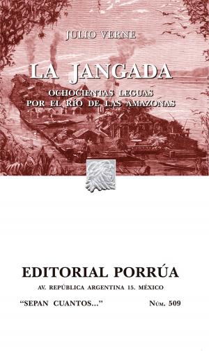 Cover of the book La jangada: Ochocientas leguas por el río de las Amazonas by Javier Malpica