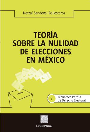 Cover of the book Teoría sobre la nulidad de elecciones en México by Joaquín Mendoza Esquivel