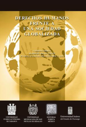 Cover of the book Derechos humanos frente a una sociedad globalizada by Vicente Riva Palacio