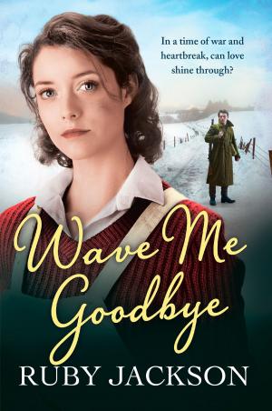 Cover of the book Wave Me Goodbye by Diana Penagos, Alberto Tavira, Jessica Sáenz