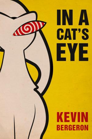 Cover of the book In a Cat’s Eye by Laurence O’Bryan