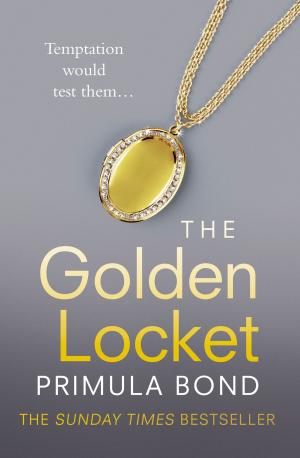 Cover of the book The Golden Locket (Unbreakable Trilogy, Book 2) by Frank Froest