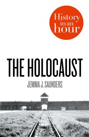 Cover of the book The Holocaust: History in an Hour by Luke Delaney