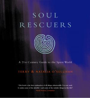 Book cover of Soul Rescuers: A 21st century guide to the spirit world