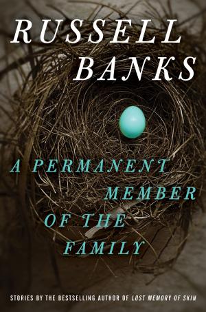 Cover of the book A Permanent Member of the Family by Sandra Newman
