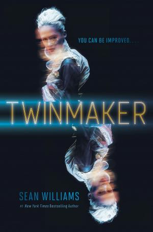 Book cover of Twinmaker