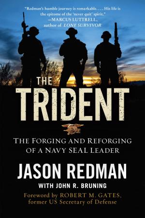 Cover of the book The Trident by Jill Kargman