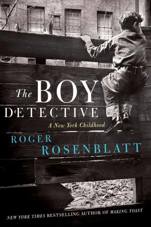 Cover of the book The Boy Detective by Ron Rash