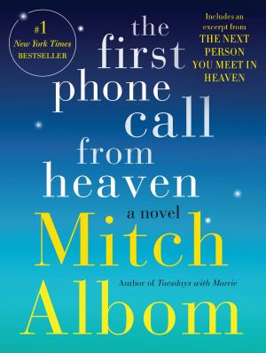 Book cover of The First Phone Call From Heaven