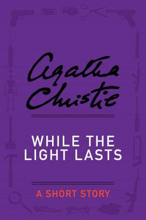 Cover of the book While the Light Lasts by David Crossman