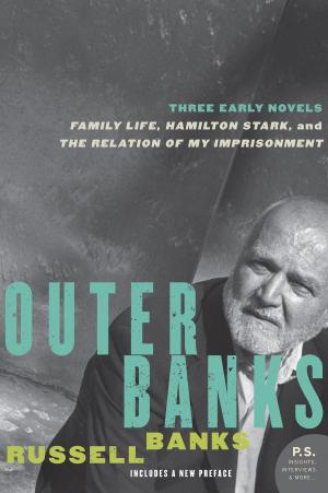 Cover of the book Outer Banks by James A. Grymes