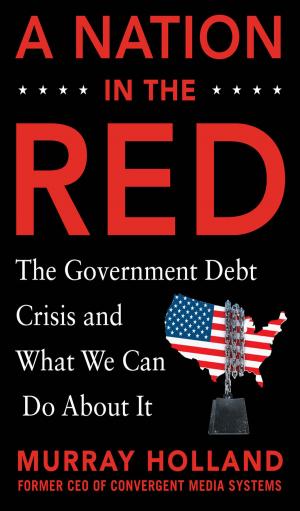 Cover of the book A Nation in the Red: The Government Debt Crisis and What We Can Do About It by Linda D. Williams