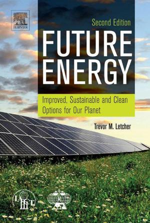 Cover of the book Future Energy by Lacho Pop, MSE, Dimi Avram, MSE