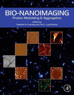 Cover of the book Bio-nanoimaging by Ioan D. Marinescu, W. Brian Rowe, Boris Dimitrov, Ichiro Inaski