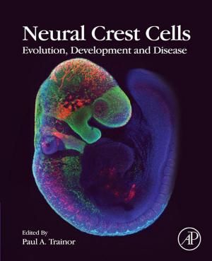 Cover of the book Neural Crest Cells by Krishnamoorthy Venkataraman, Chandrakasan Sivaperuman
