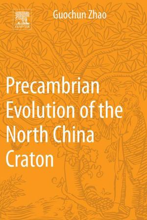 Cover of the book Precambrian Evolution of the North China Craton by R. P. Chhabra, J.F. Richardson