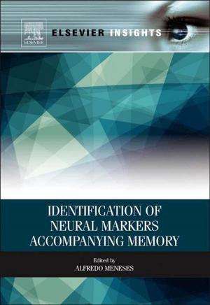 Book cover of Identification of Neural Markers Accompanying Memory