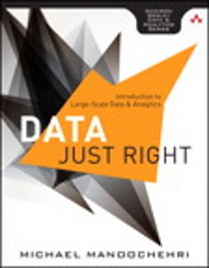 Cover of the book Data Just Right by Jon Huntsman